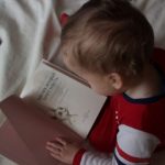 The best toddler books for little bookworms